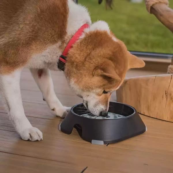 Formatte 15cm, view: 2