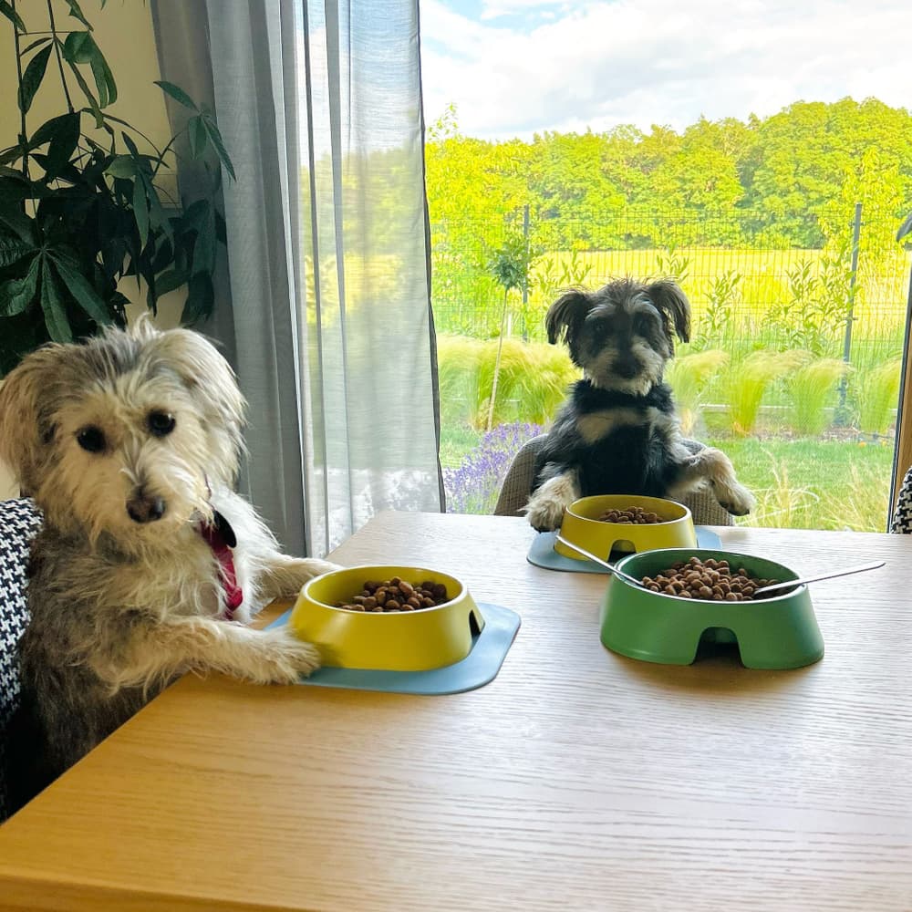 Hundeskål M 400 ml Beige, view: 2