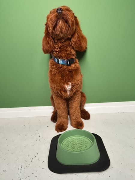 Hundeskål M 400 ml Grønn, view: 2