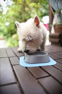 Hundeskål S 200 ml Beige - view: 1