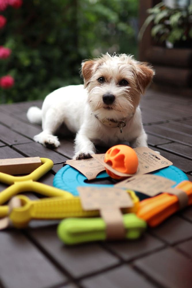 Lekeben S 12 cm Grønn, view: 5