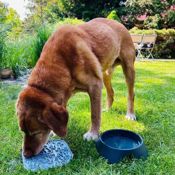 Lollipopp Slikkematte 19cm Grønn, view: 4