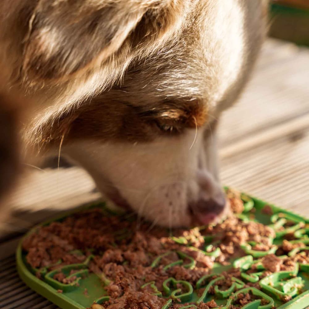 Lollipopp Slikkematte 19cm Lysegrå, view: 2