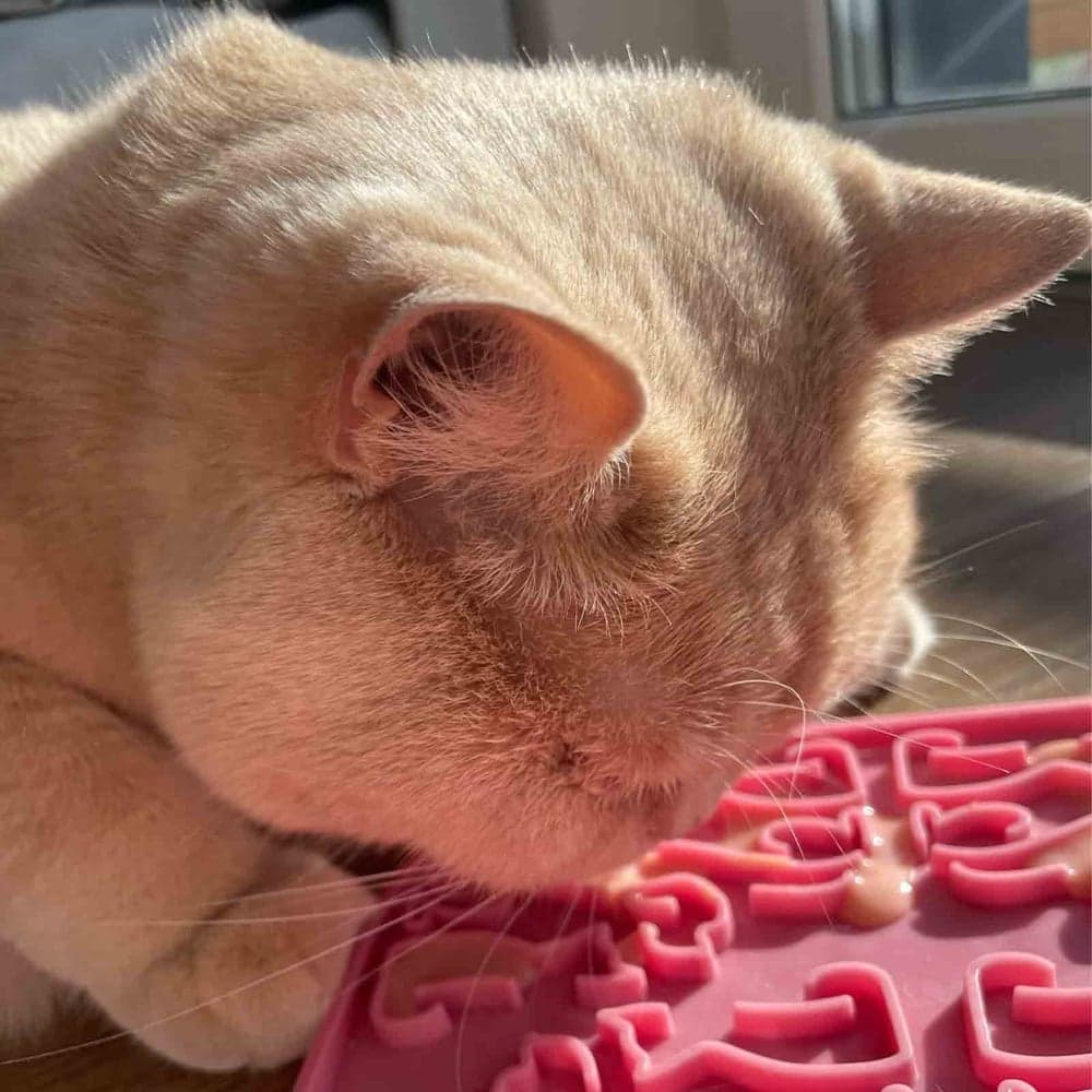 Lollipopp Slikkematte 19cm Rosa, view: 1