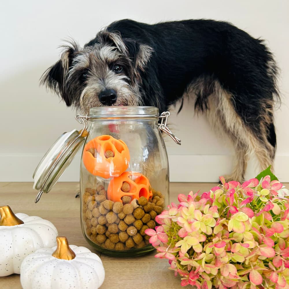 Aktiveringsball Snacks Blå, view: 3