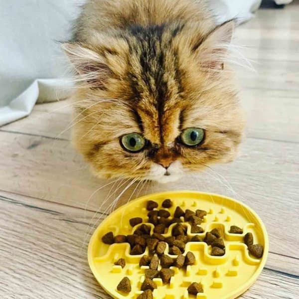 Lollipopp Slikkematte Mini 13cm Lysegrå, view: 2