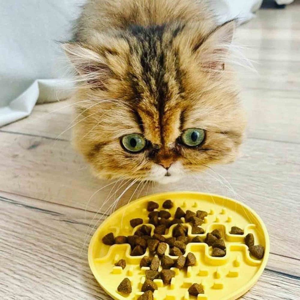 Lollipopp Slikkematte Mini 13cm Grønn, view: 2