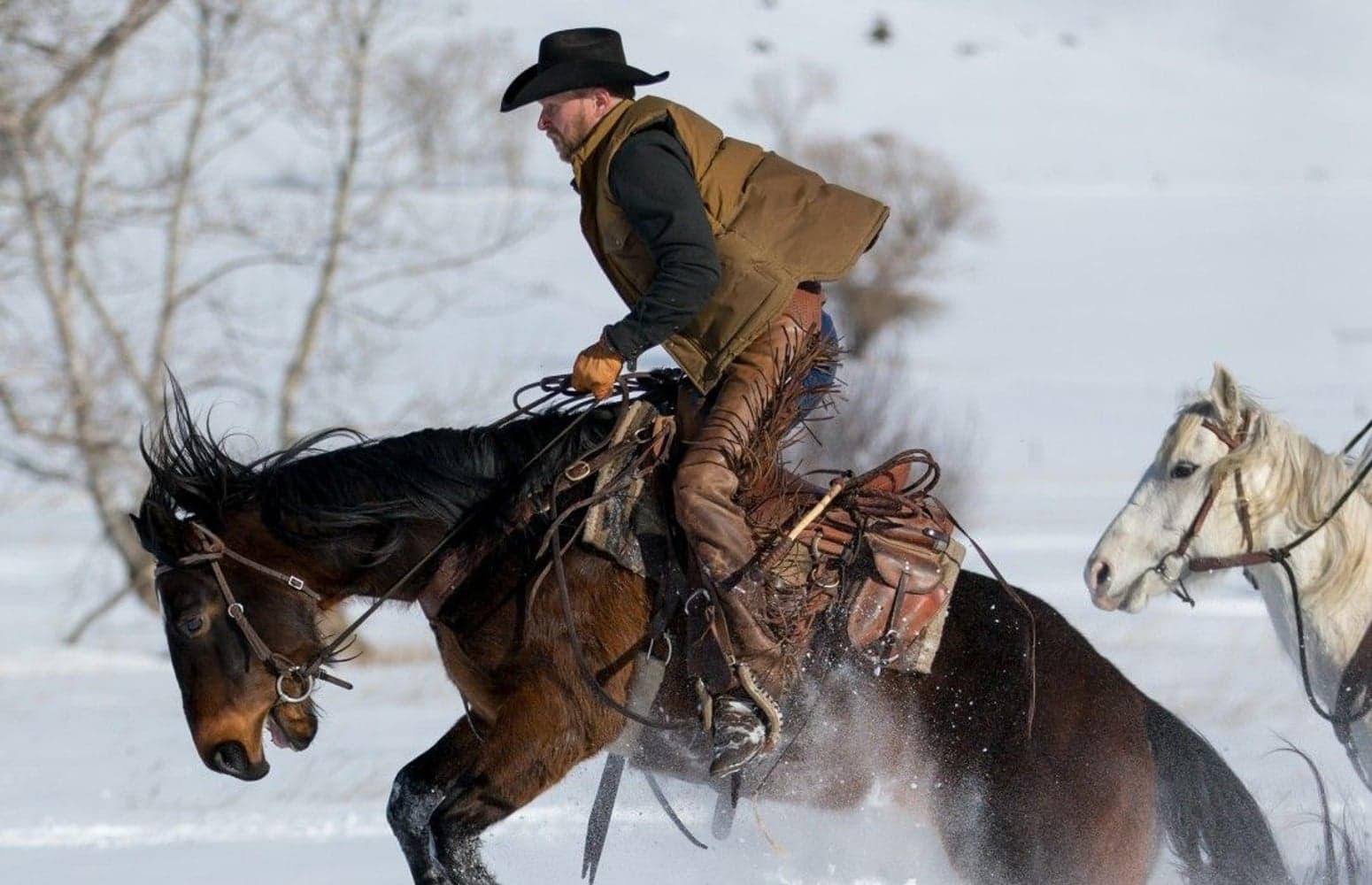 Men's Down Cruiser Vest Otter Green, view: 5
