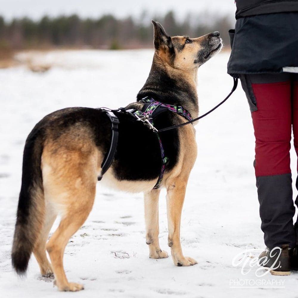 Sele-lås RESCUE Svart, view: 1