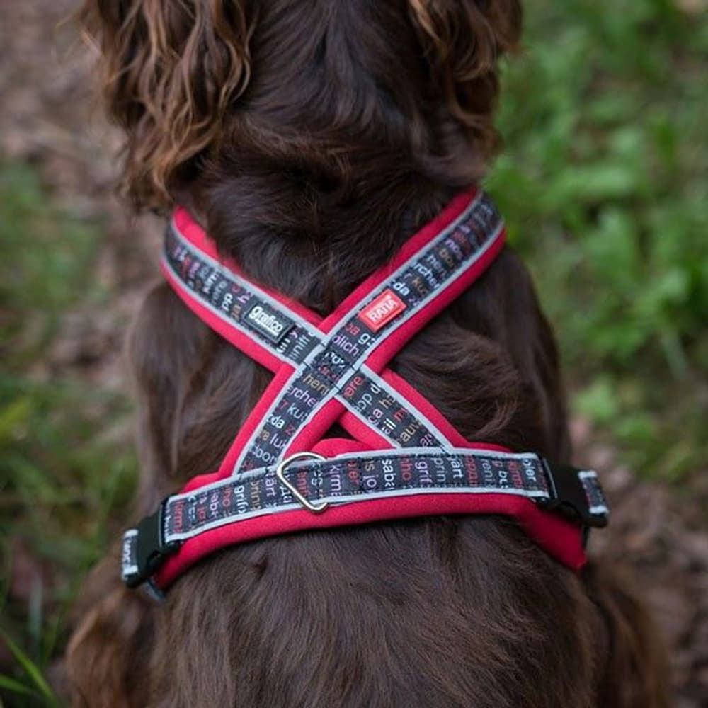 Ratia 8-shape sele red, view: 4