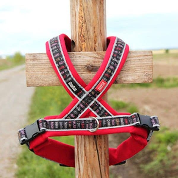 Ratia 8-shape sele red, view: 2