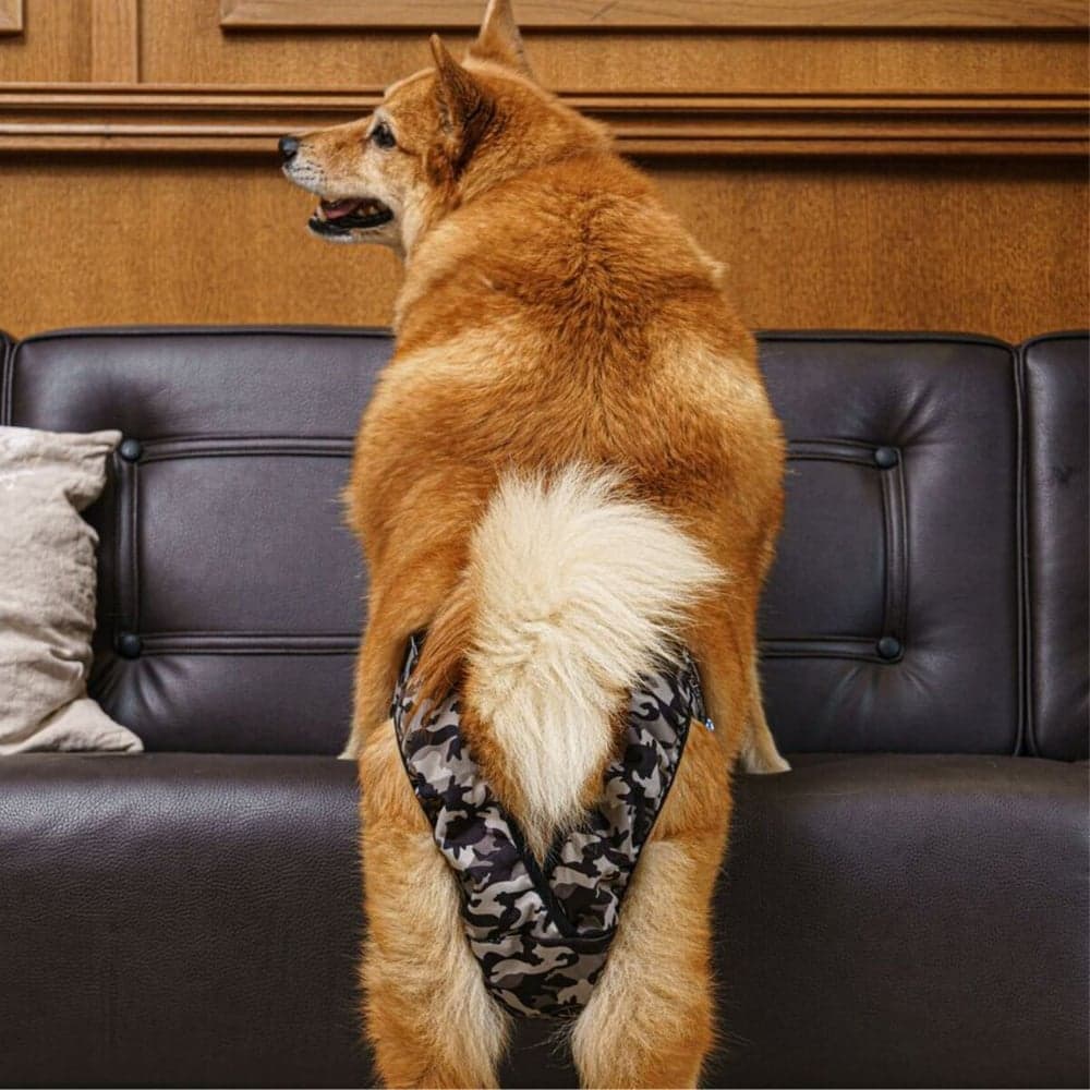 FinNero Tispetruse BRENDA Camo XS-S, view: 5