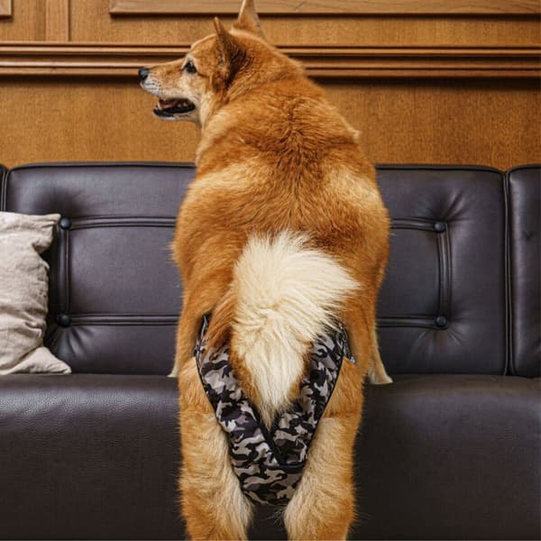 FinNero Tispetruse BRENDA Camo XS-S, view: 5