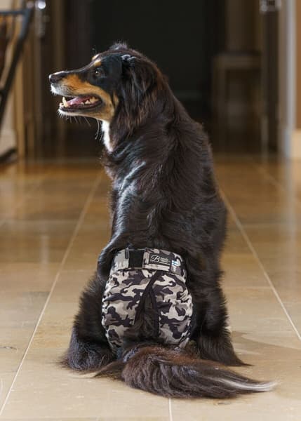 FinNero Tispetruse BRENDA Camo XS-S, view: 3