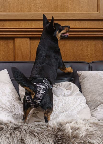 FinNero Tispetruse BRENDA Camo XS-S, view: 4