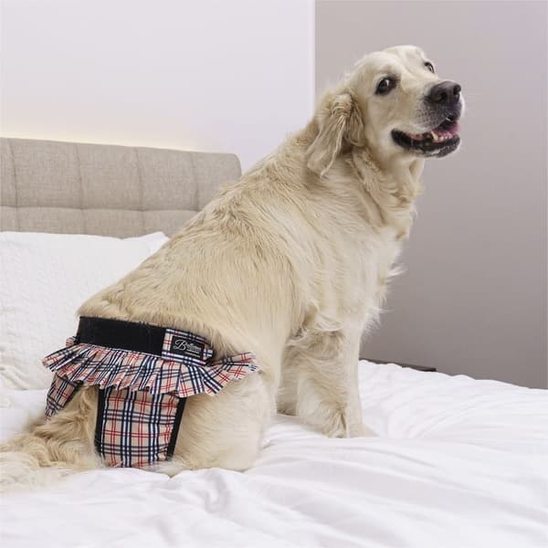 FinNero Tispetruse BALLERINA Beige M, view: 2