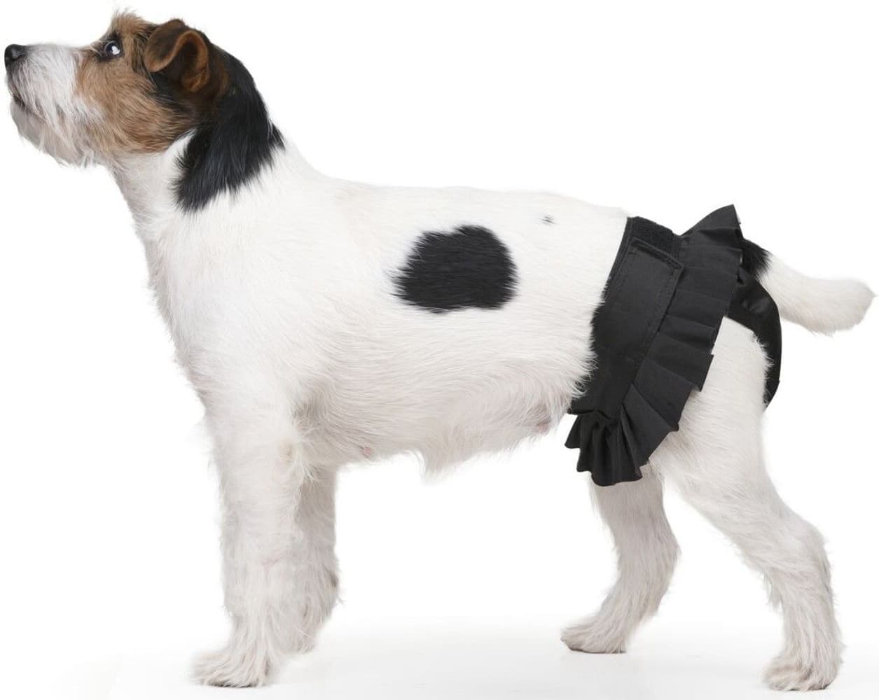 FinNero Tispetruse BALLERINA Svart M, view: 2