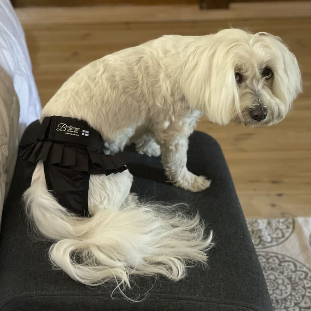 FinNero Tispetruse BALLERINA Svart M, view: 5