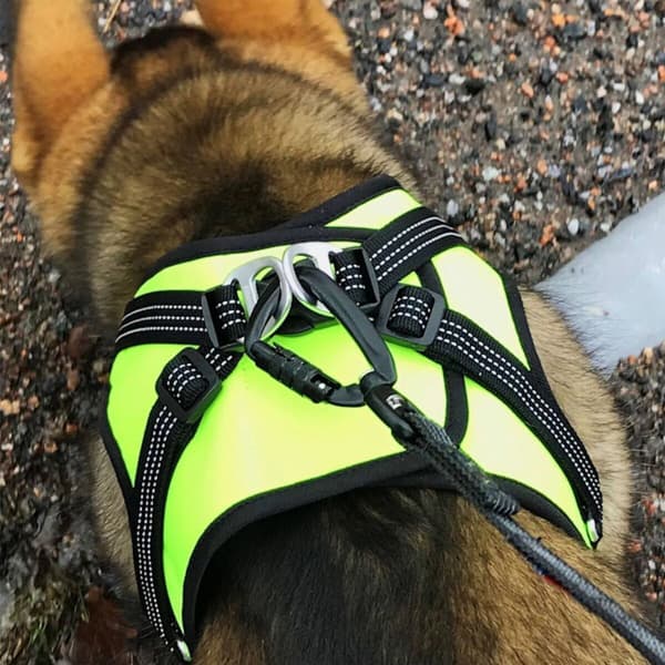 FinNero Vestsele HALI Svart/gul S, view: 7