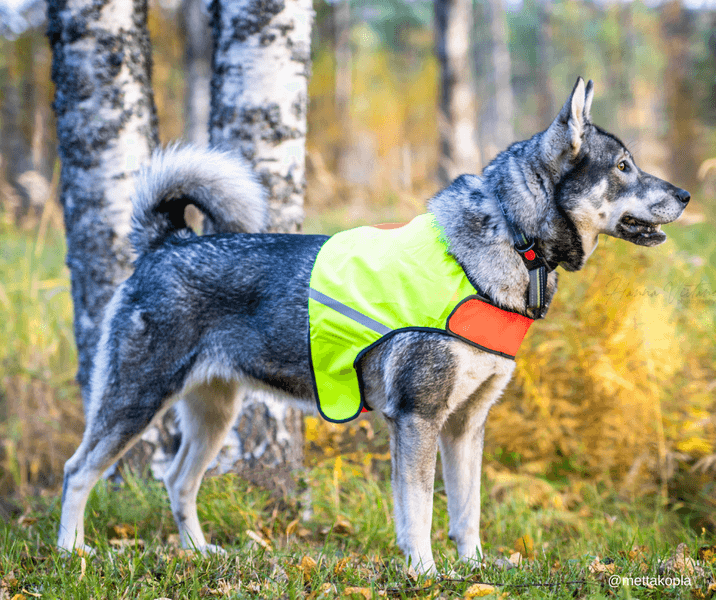 FinNero Signalvest UKKO Rød/Gul M, view: 5