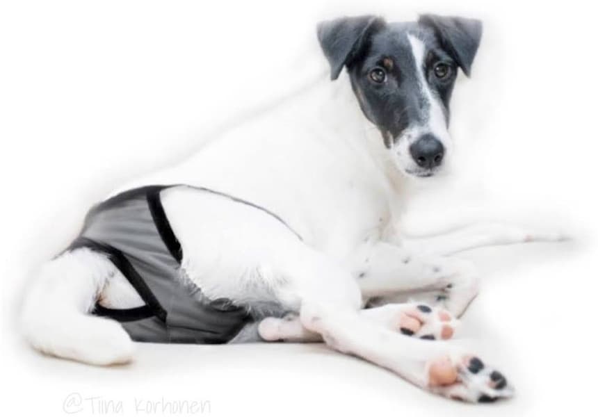 FinNero Tispetruse BRENDA Mørkgrå M-XL, view: 2