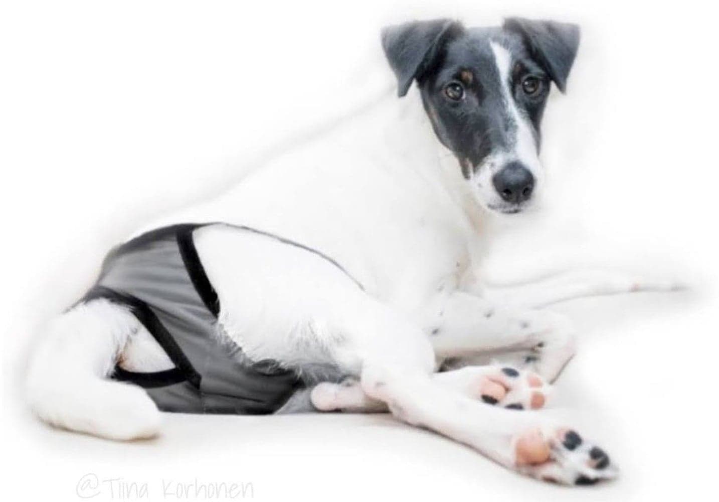 FinNero Tispetruse BRENDA Mørkgrå XS-S, view: 2