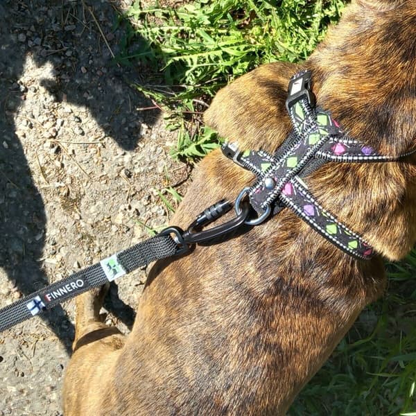 FinNero Antiskli-kobbel RESCUE Svart 2 cm, view: 2