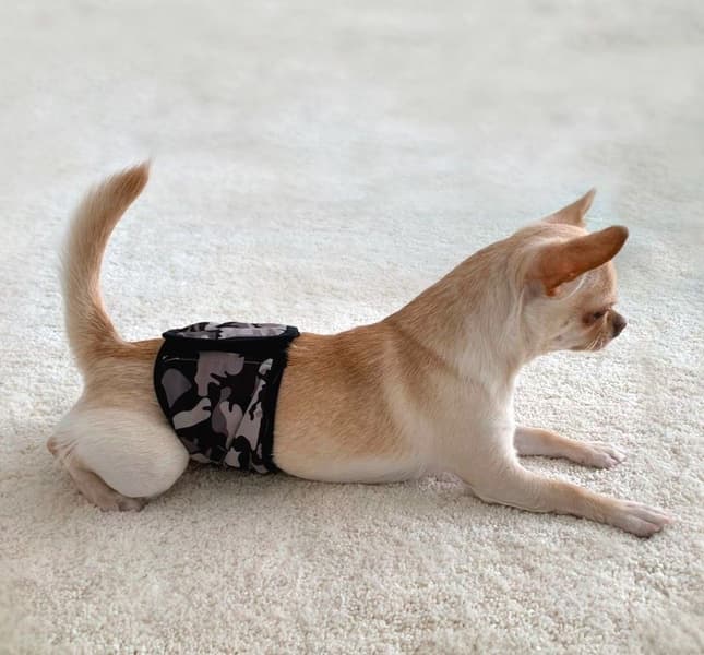 FinNero Lekkasjebeskyttelse JustinCase Camo S, view: 4