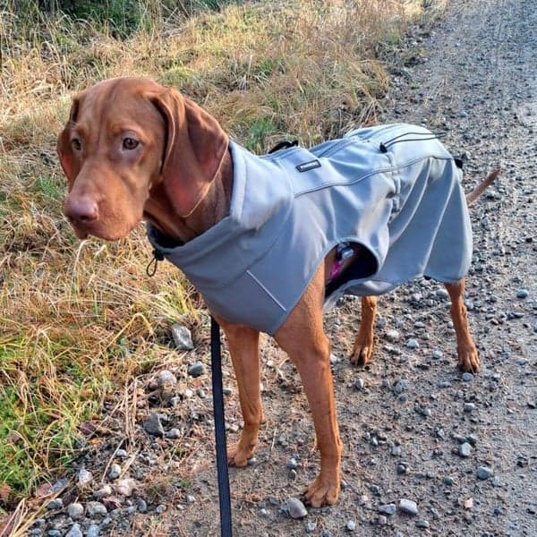 FinNero Softshelldekken Sport Grey 40 cm, view: 6