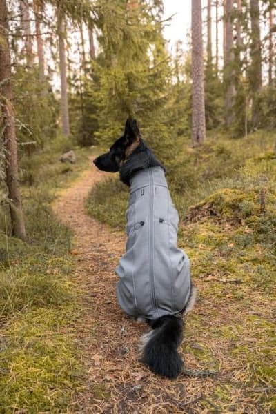 FinNero Softshelldekken Sport Grey 65 cm, view: 8