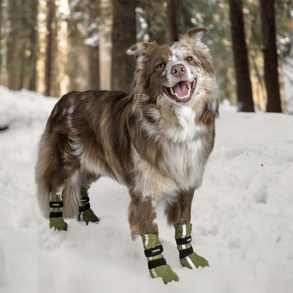 Hundsko HALLA Reflex Grön XL 4-pack, view: 2