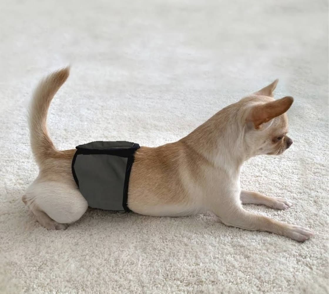 FinNero Lekkasjebeskyttelse JustinCase Svart XS, view: 4