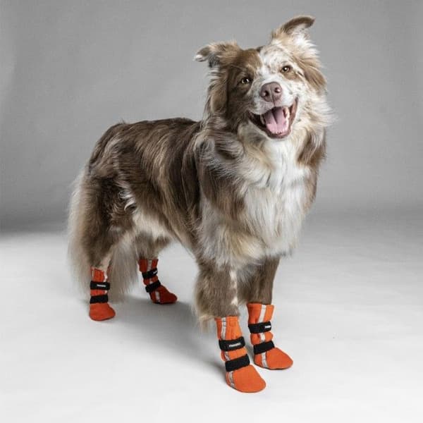 Hundsko HALLA Reflex Orange M-L 4-pack, view: 2