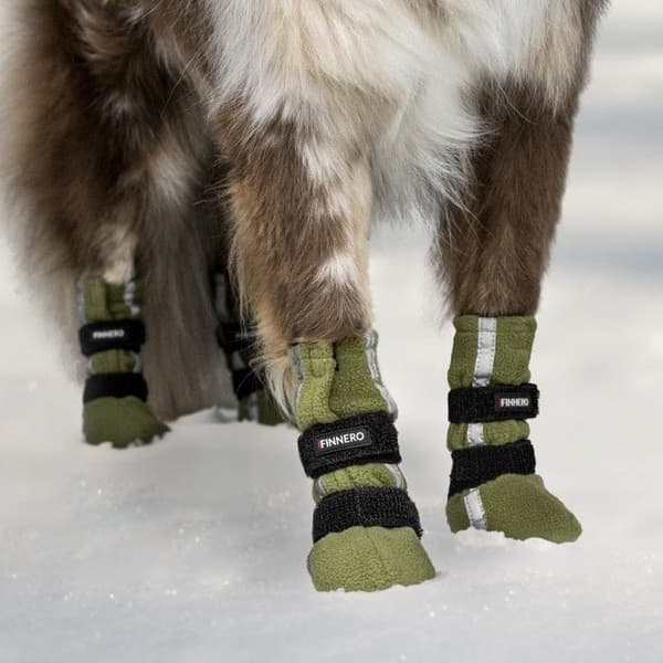 Hundsko HALLA Reflex Grön XXS-S 4-pack, view: 1