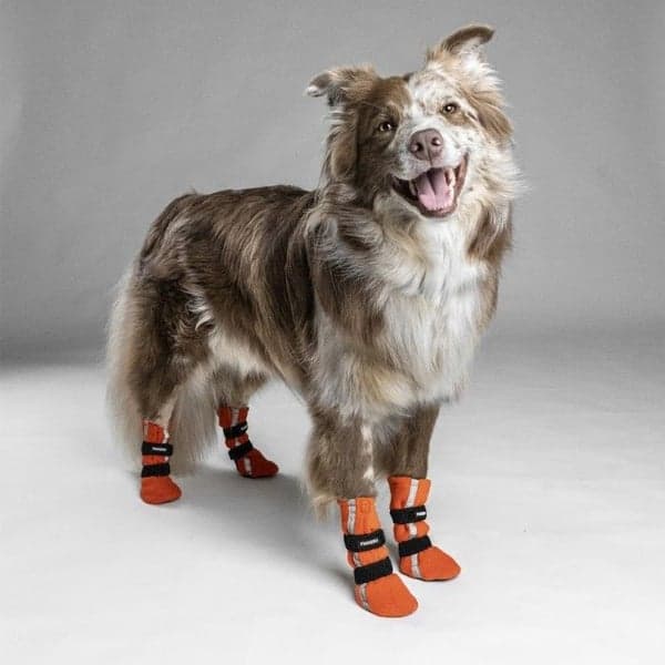 Hundsko HALLA Reflex Orange XXS-S 4-pack, view: 2