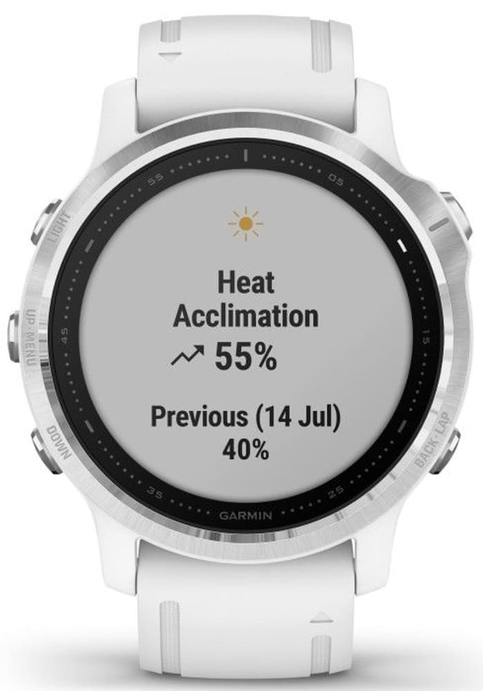 Fenix 6S White, view: 2