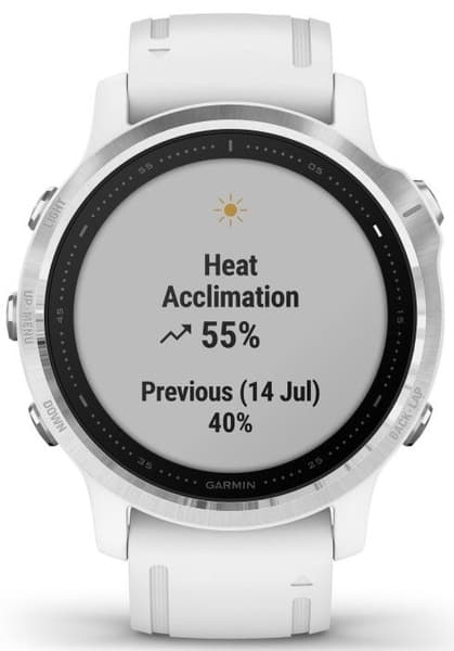 Fenix 6S White, view: 2