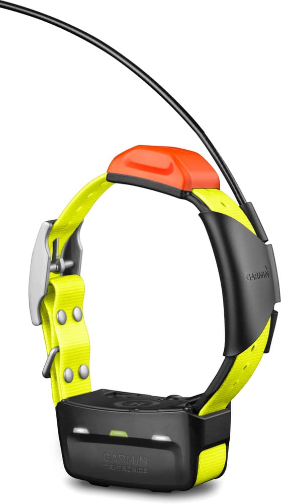 T5X-hundehalsbånd, view: 0