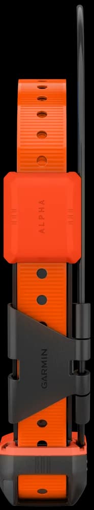 Alpha T20 Pejlhalsband, view: 2