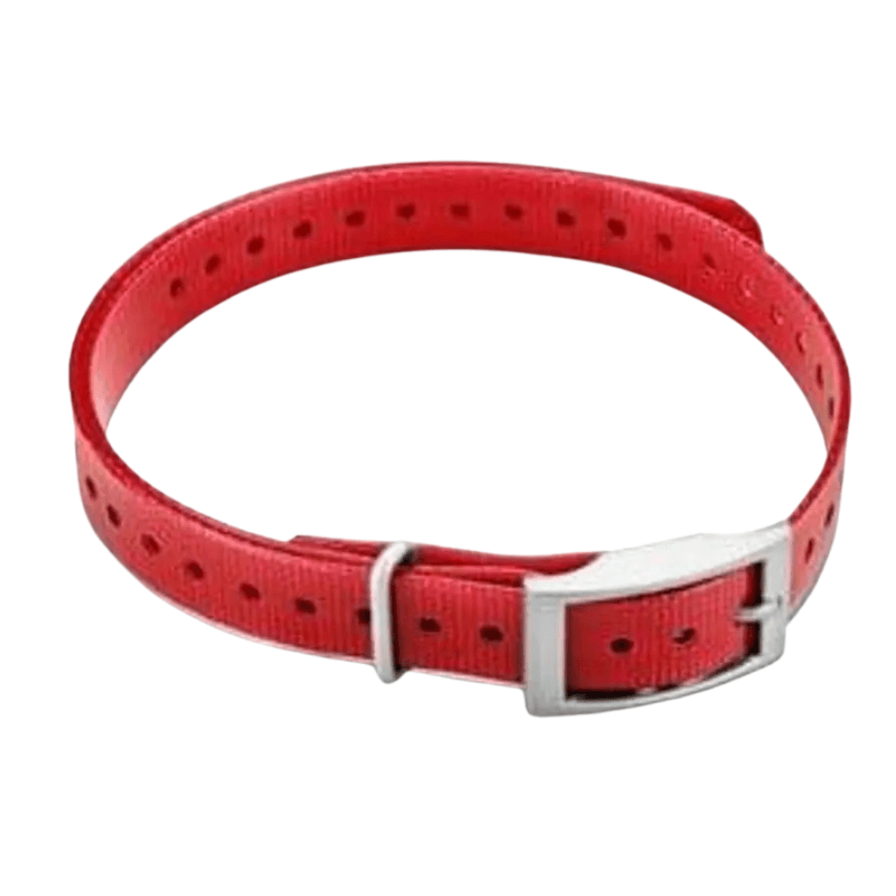 Halsband T5 mini - Rødt (firkantet spenne), view: 0