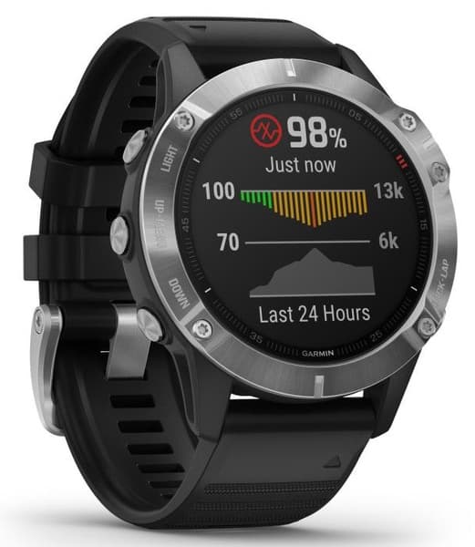 Fenix 6 Silver with Black Band, view: 1