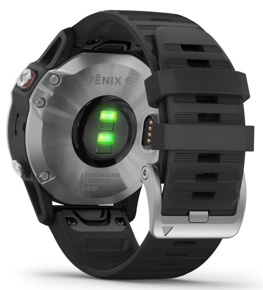 Fenix 6 Silver with Black Band, view: 5