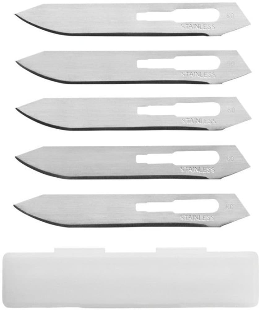 Vital Folder Knife, view: 2