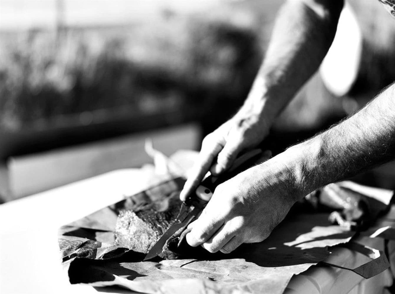 Vital Big Game Folder, view: 8