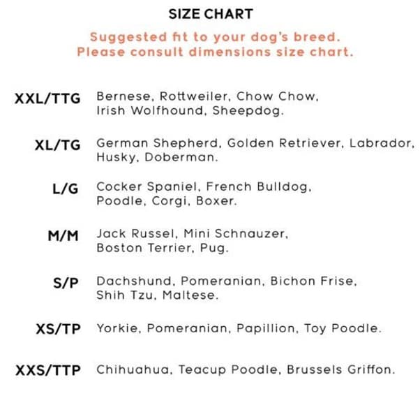 Trendz Snow Camo M 2 pcs, view: 1