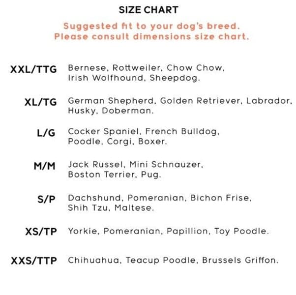 Trendz Snow Camo S 2 pcs, view: 1