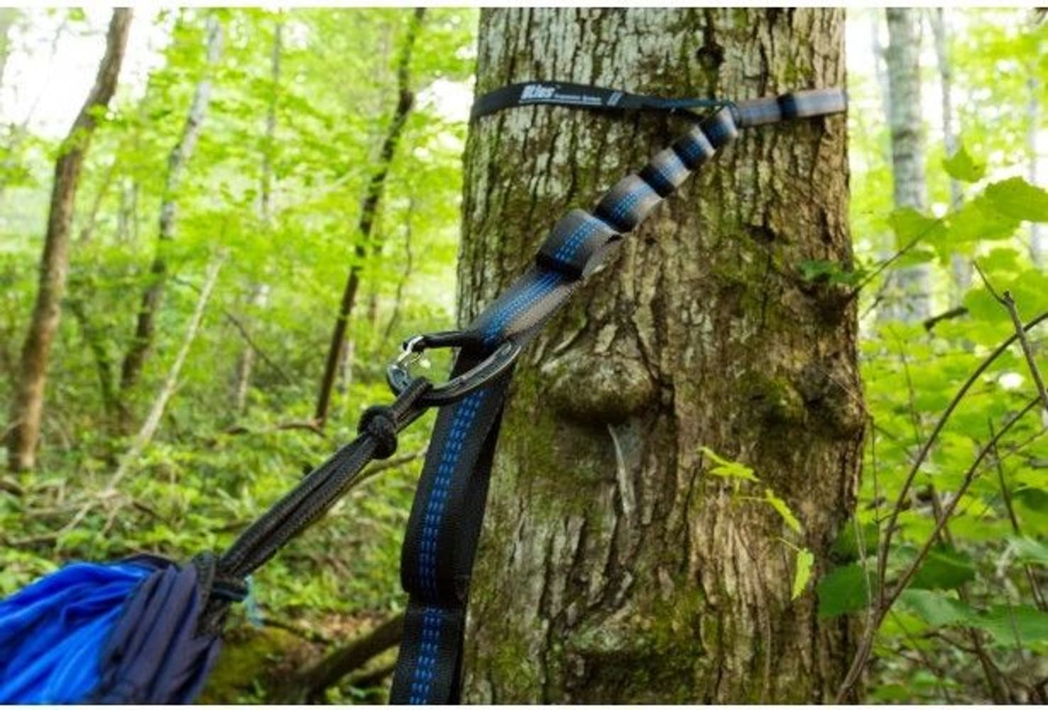 Eno Atlas Suspension System Black/Blue, view: 2