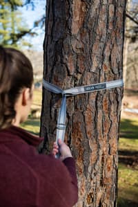 Eno Apollo Suspension System Grey/Charcoal - view: 3