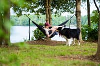 Eno TravelNest Hammock + Straps Combo Moss - view: 5