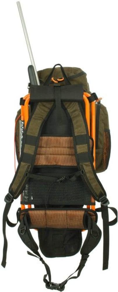 Älgen PRO 35 FH, view: 4